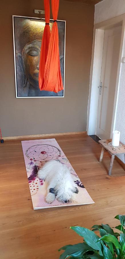 Kleines Haeuschen Im Gruenen Villa Monheim  Eksteriør bilde